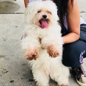 Meet your Posher, Ma. rachel katrin